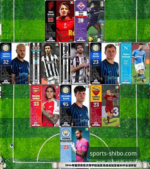 意大利vs世界杯：连续三届无缘的悲剧与十博体育app观赛体验对比